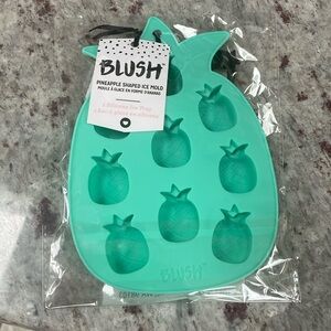 BLUSH Pineapple Shaped Ice Mold, NIB, never opened